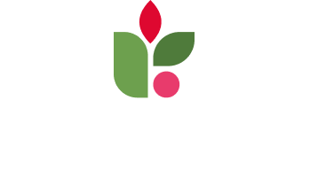 Bianchini International